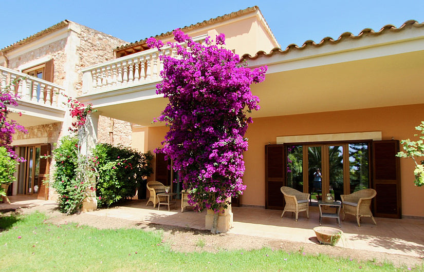 WOW FINCA Rotana – Porto Cristo