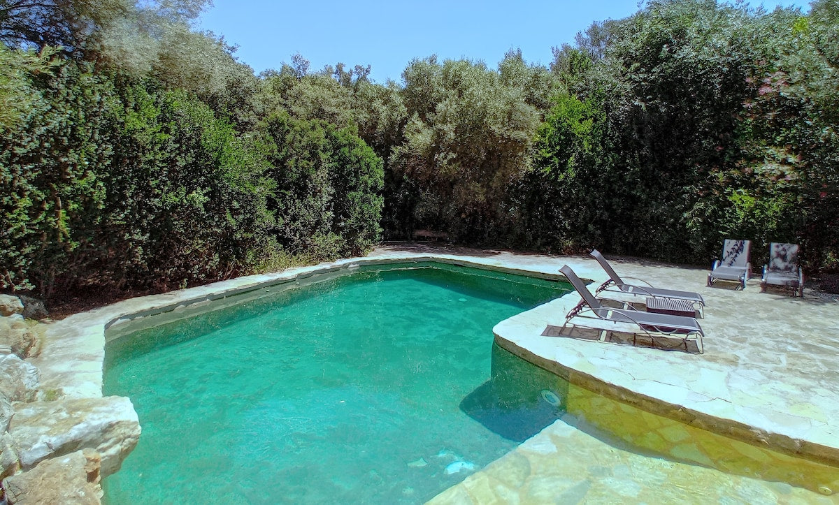 Finca Es Sestadors in Búger, Mallorca – Ansicht 5