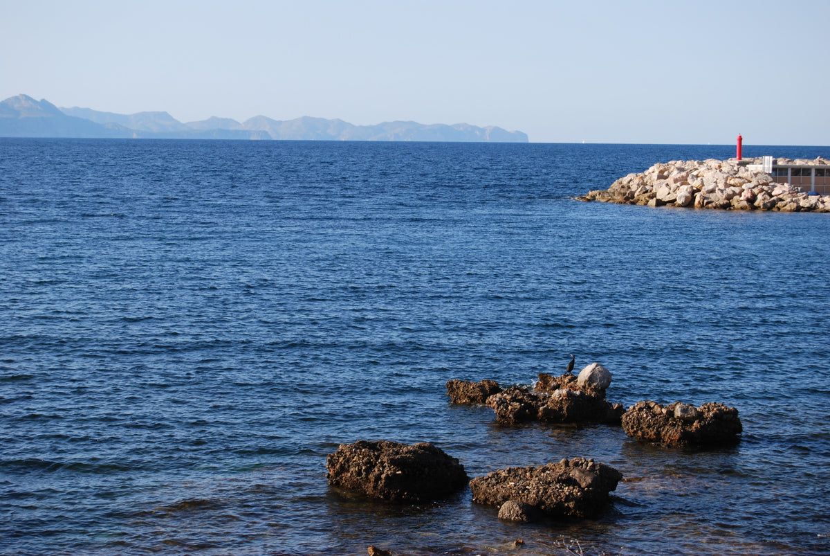 Ferienhaus Blanca in Son Serra de Marina, Mallorca – Ansicht 21