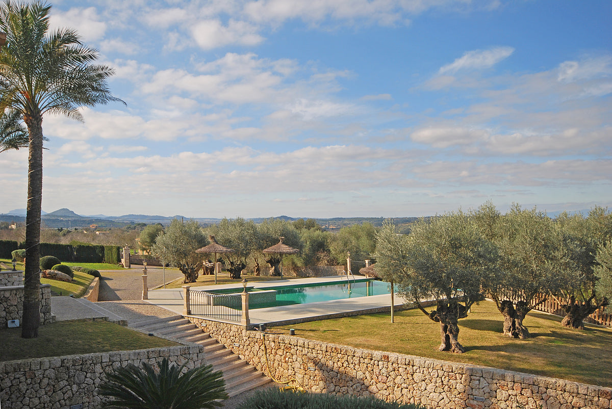 Ausblick vom Grundstück – Ferienhaus Grandina bei Ariany, Mallorca