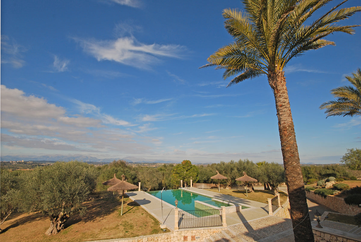 Ausblick vom Grundstück – Ferienhaus Grandina bei Ariany, Mallorca