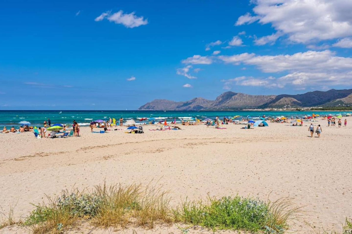 Ferienhaus Palacio in Son Serra de Marina, Mallorca – Ansicht 3