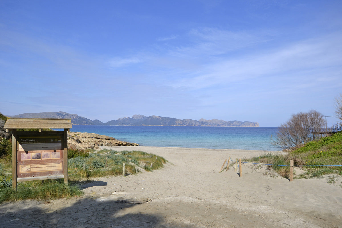 Ferienhaus Teresa in Alcúdia, Mallorca – Ansicht 4