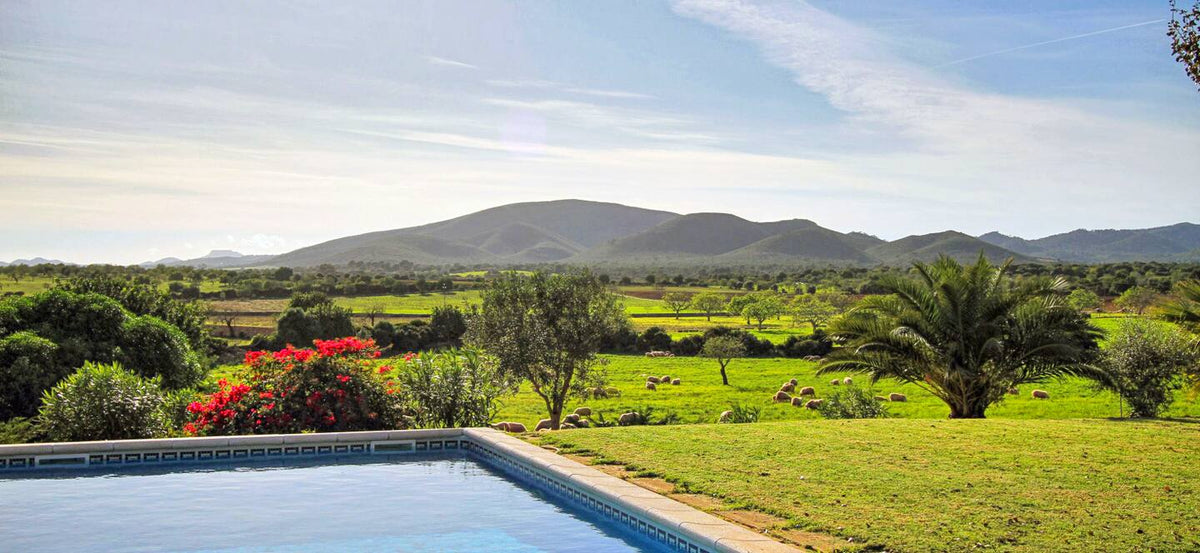 Finca Alegria in Porto Cristo, Mallorca – Ansicht 5