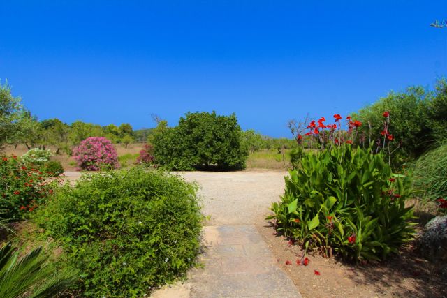 Finca Artari in Artà, Mallorca – Ansicht 9
