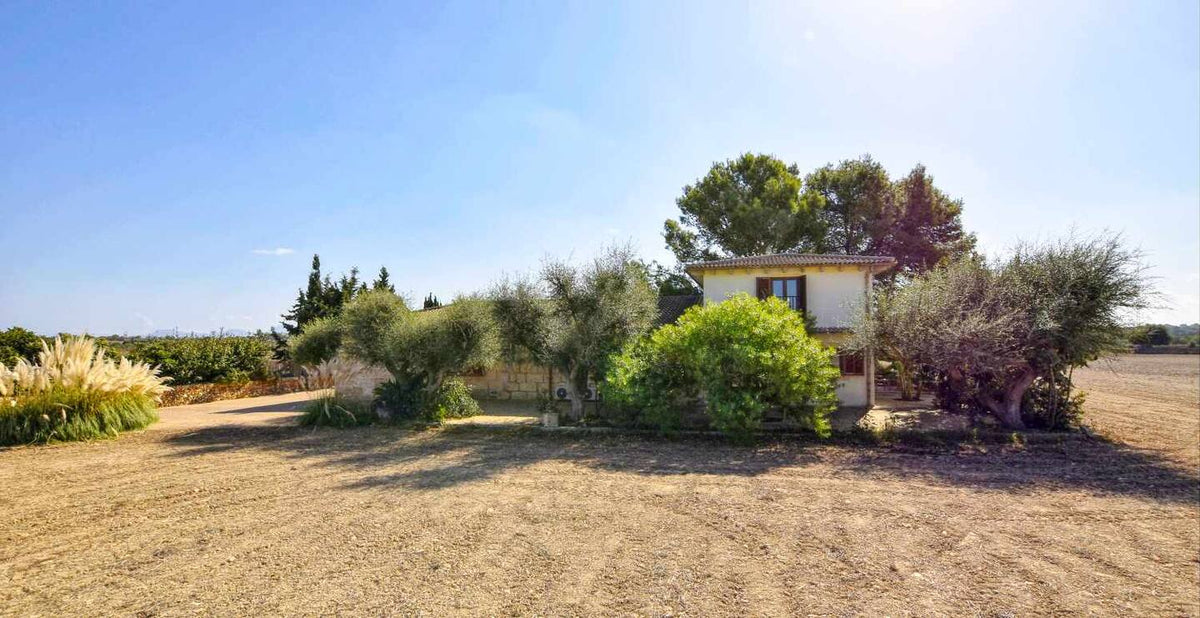 Finca Aurelio in Can Picafort, Mallorca – Ansicht 8