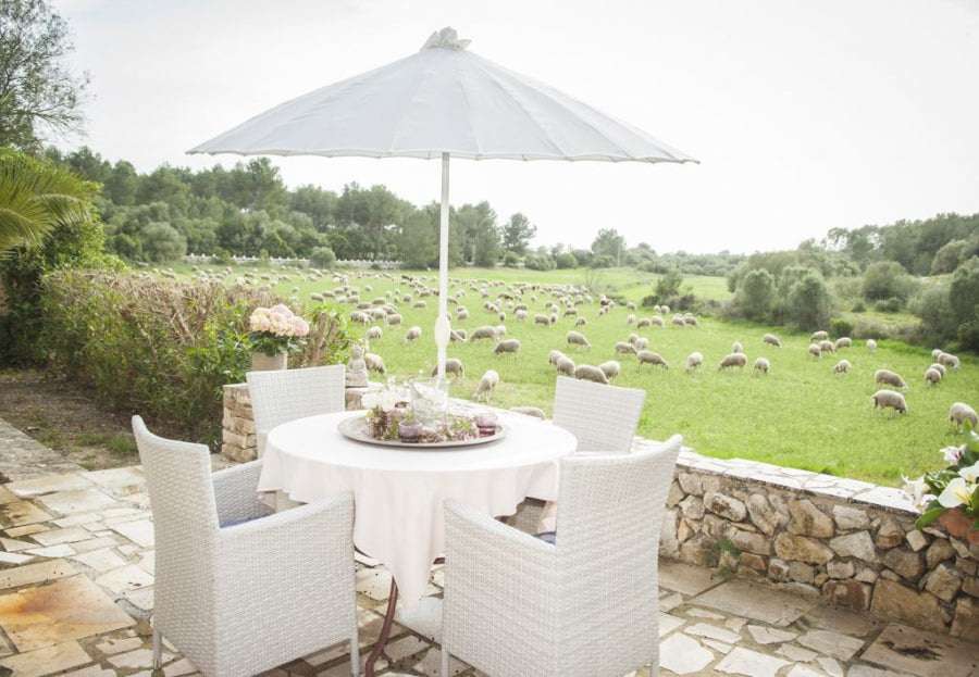 Finca Bonelle in Petra, Mallorca – Ansicht 5