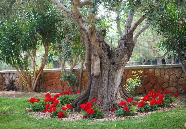 El jardín es el salón.