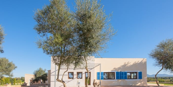 Finca La Esperanza in Felanitx, Mallorca – Ansicht 8