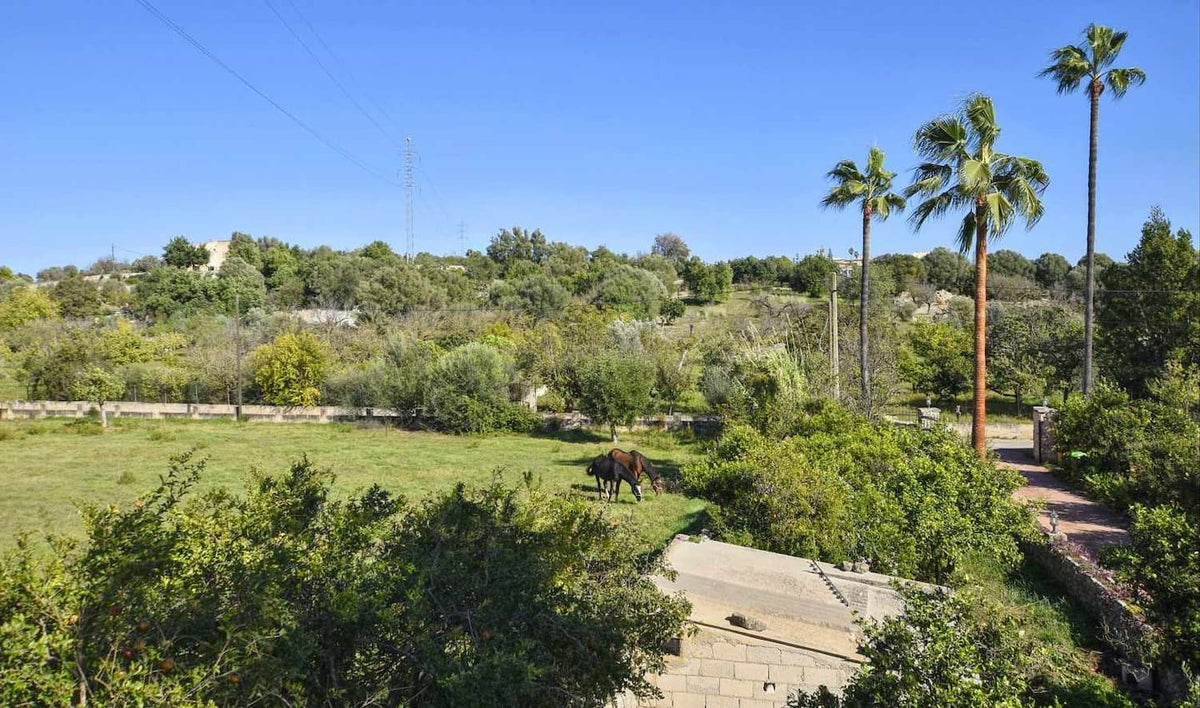 Finca Moderna in Búger, Mallorca – Ansicht 3