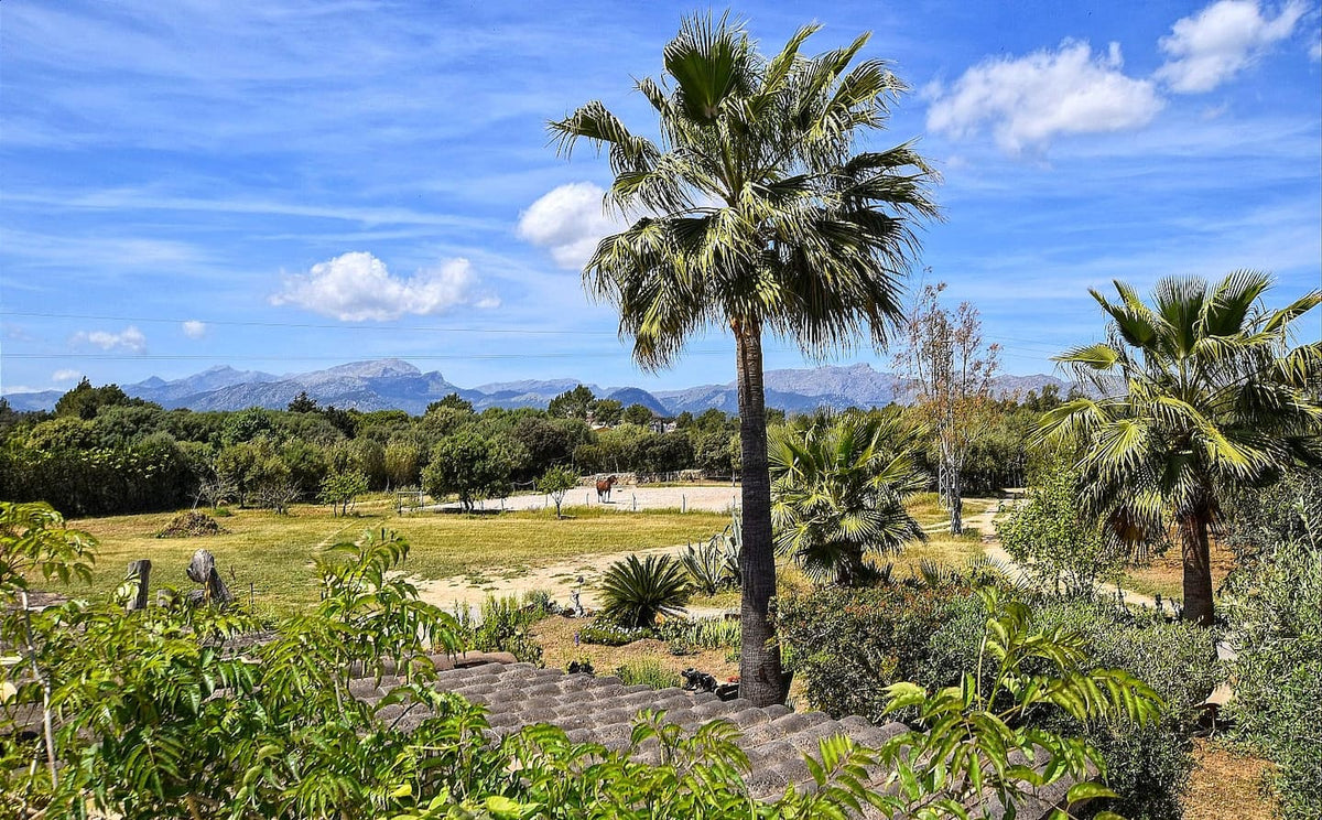 Finca Reonto in Alcúdia, Mallorca – Ansicht 21
