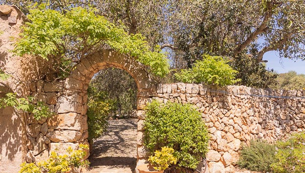 Finca Rica in Santanyí, Mallorca – Ansicht 14