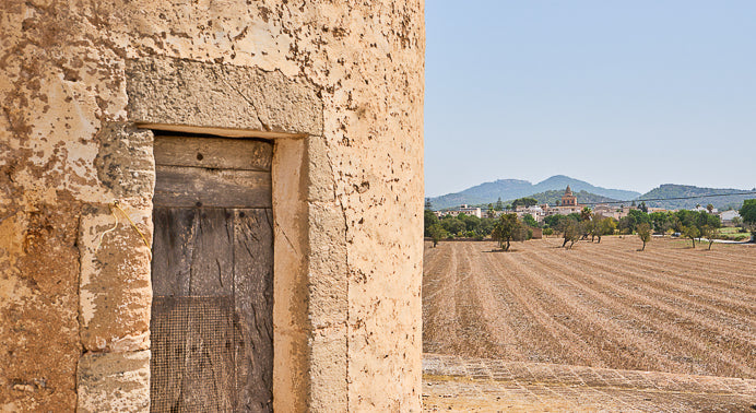 Finca Sa Torrassa in Cas Concos, Mallorca – Ansicht 3
