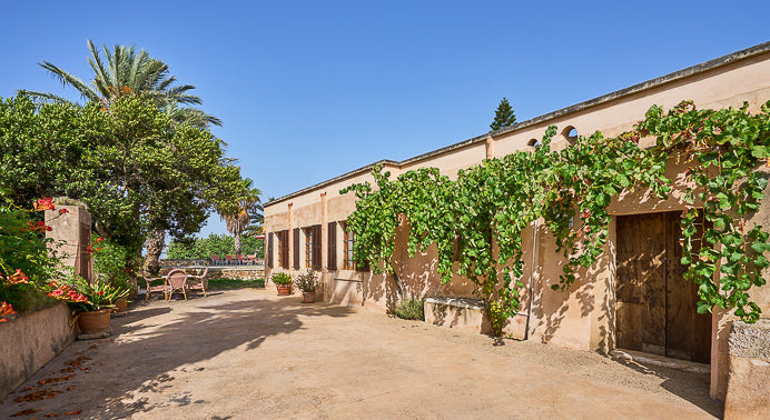 Finca Sa Torrassa in Cas Concos, Mallorca – Ansicht 10