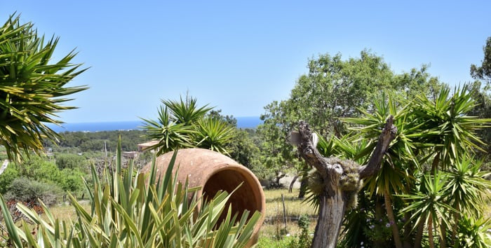 Finca Son Blau in S'Horta, Mallorca – Ansicht 25