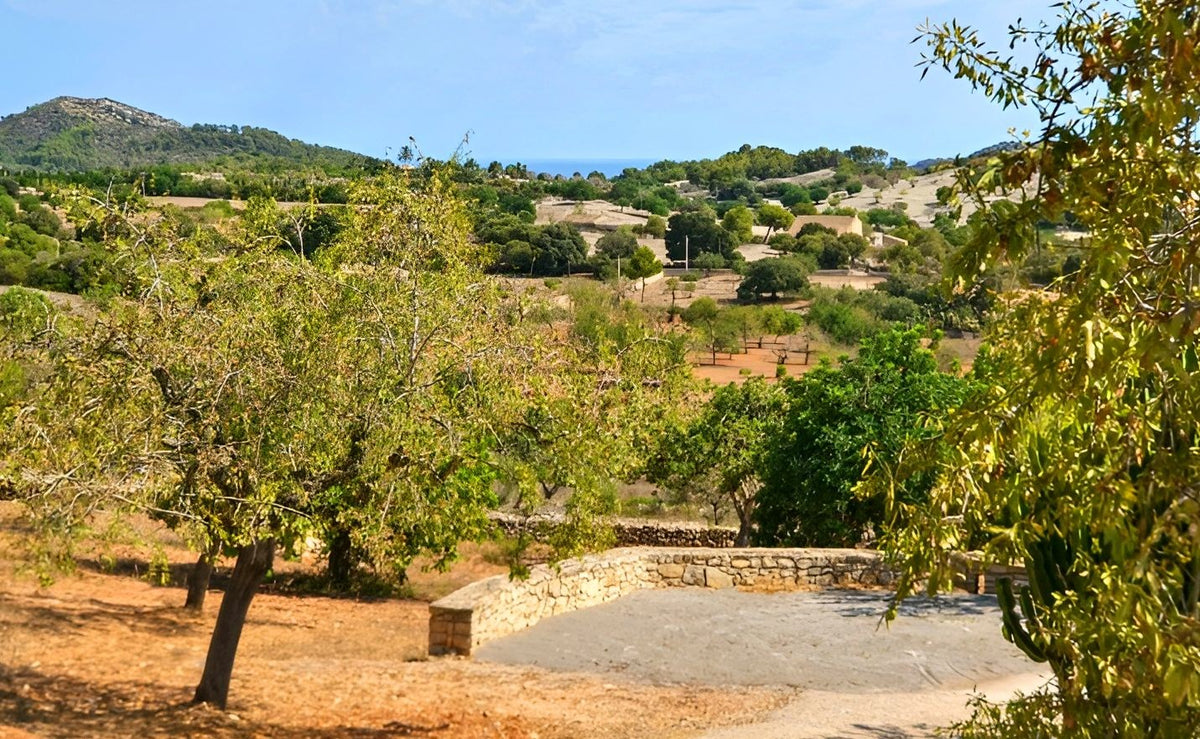 Finca Son Llodra in Son Macià, Mallorca – Ansicht 14