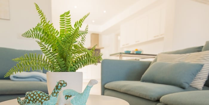 Villa Azulmar in Cala d'Or, Mallorca – Ansicht 15