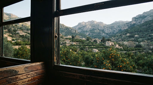 Der Rote Blitz – historischer Tren de Sóller auf Mallorca