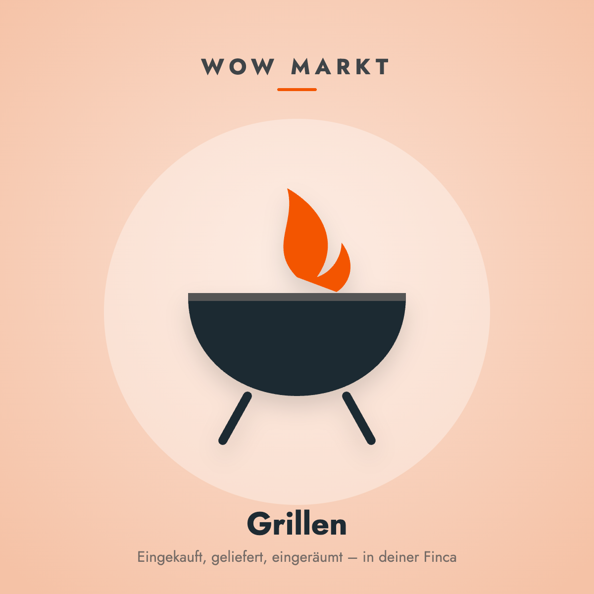 Grillkohle und Grillzubehör für den Grillabend in der Finca – WOW MART