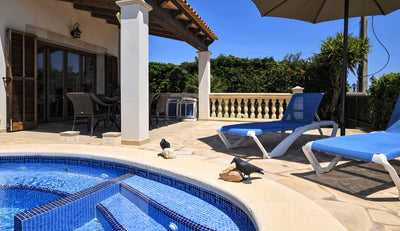 Villa Amador in Santanyí, Mallorca – Ansicht 14
