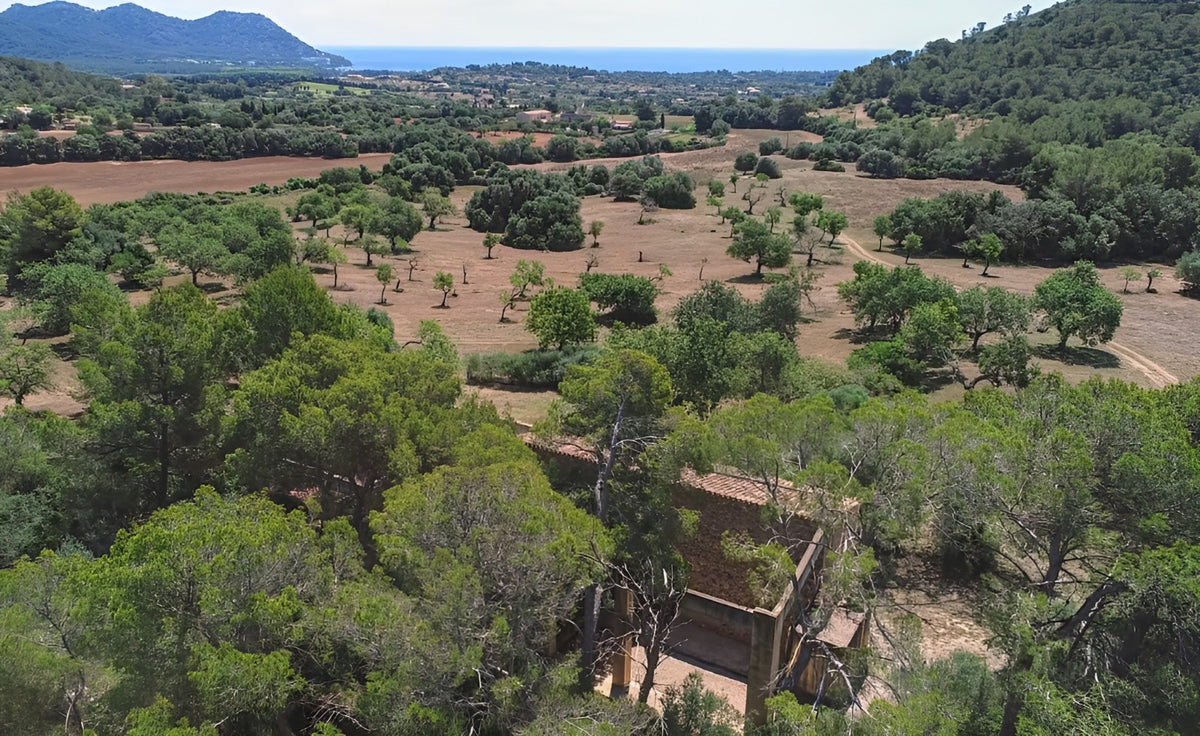 Finca Viterbo in Son Servera, Mallorca – Ansicht 7