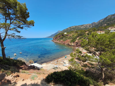Finca Son Roca in Port des Canonge, Mallorca – Ansicht 3