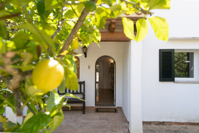 Villa Solana in Cala d'Or, Mallorca – Ansicht 9