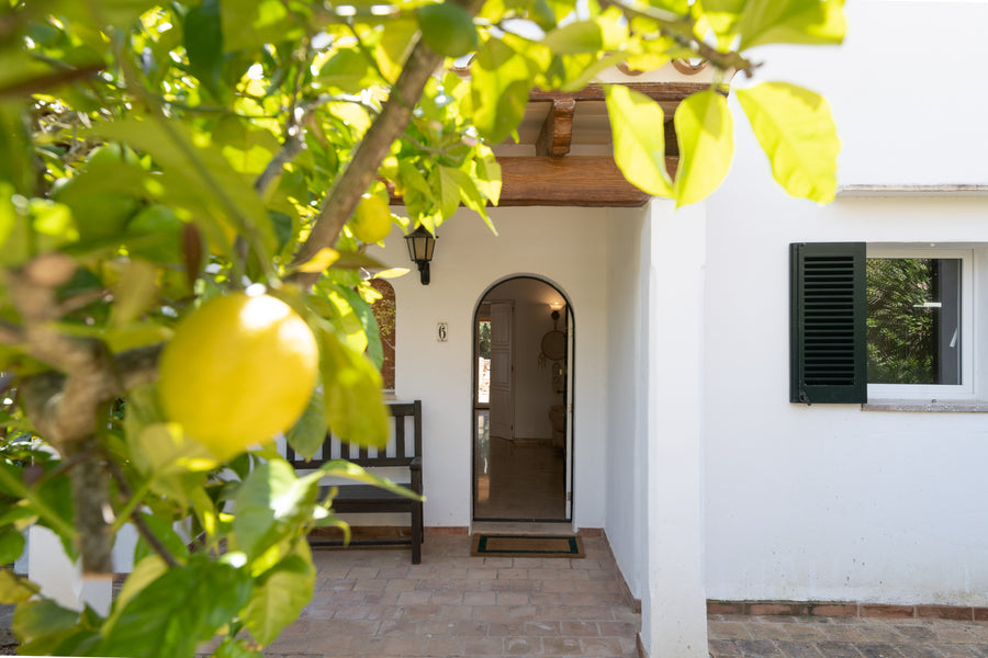 Strand, Hafen, Boot.