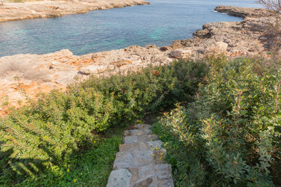 Villa Marvento in Cala d'Or, Mallorca – Ansicht 12