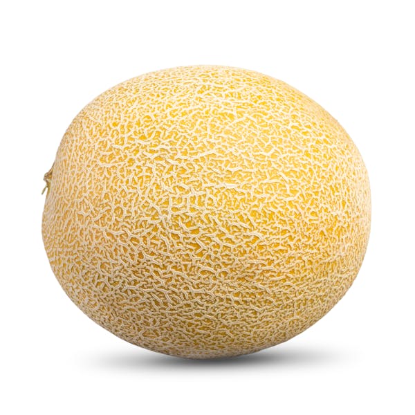 Galia-Melone