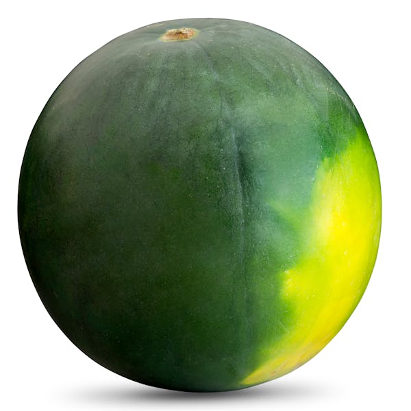 Wassermelone