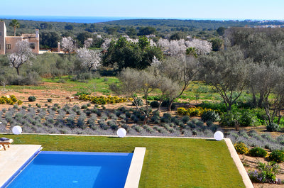 Finca Floriana