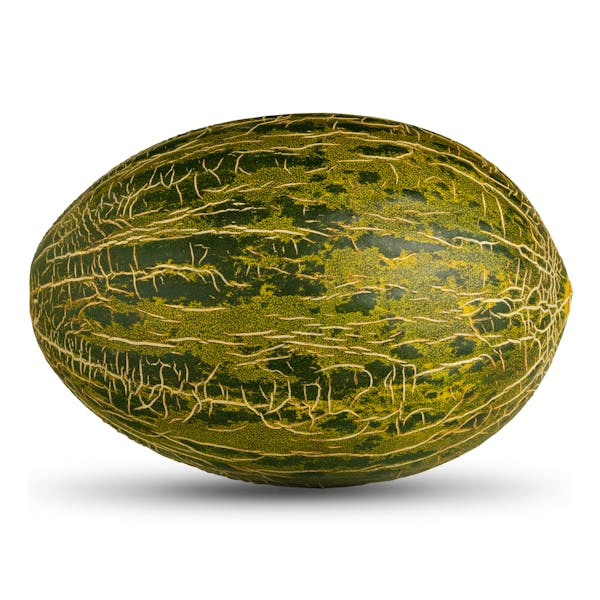 Zuckermelone