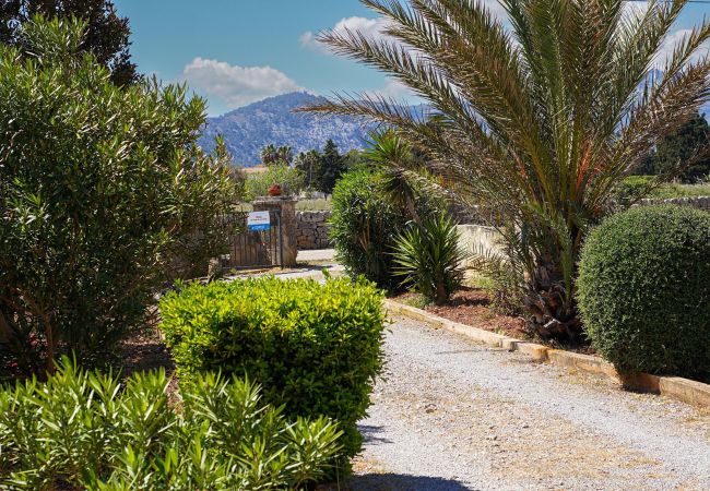 Impression der Casita Sa Vinyeta bei Port de Pollença, Mallorca