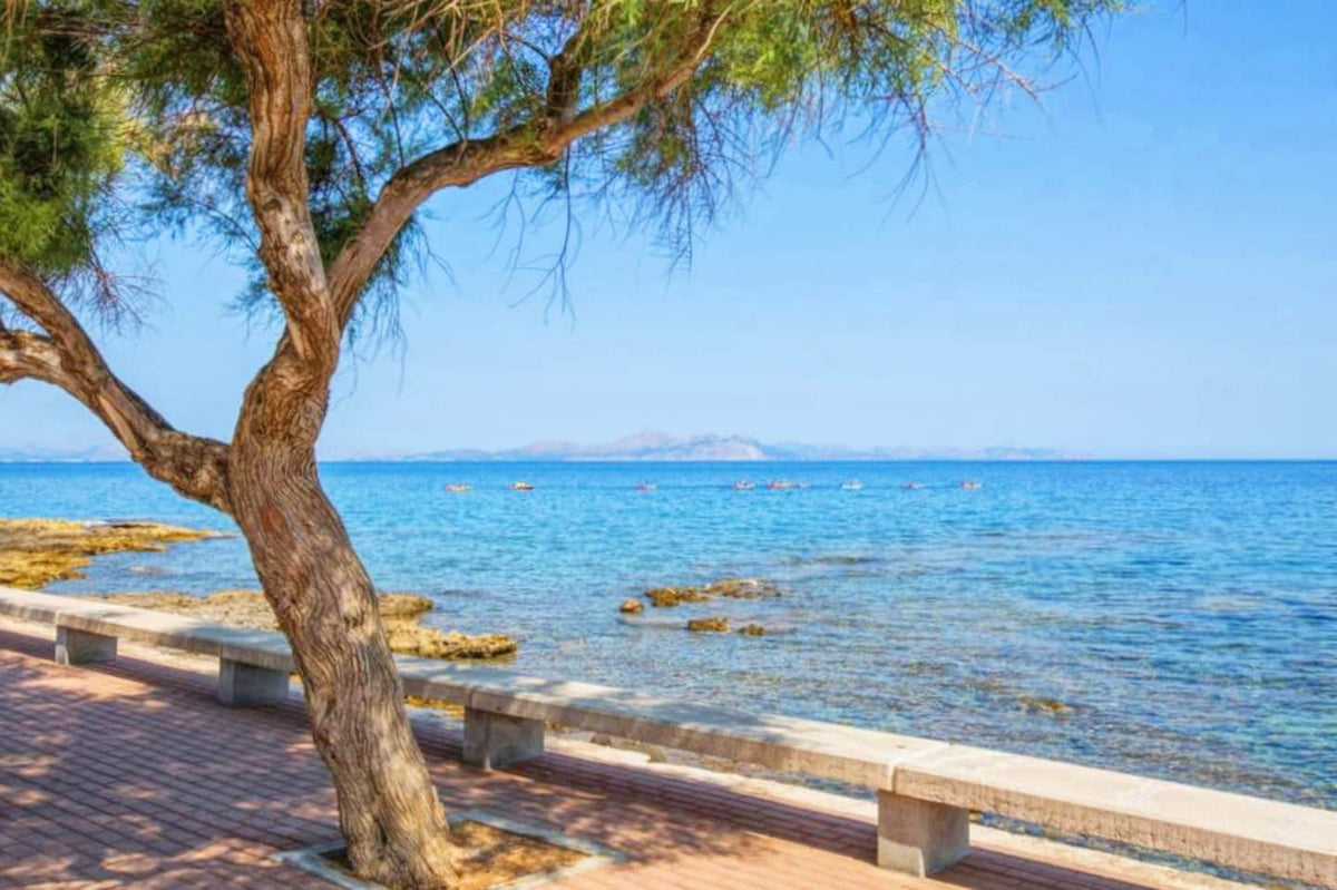 Ferienhaus Sant Pou in Colònia de Sant Pere, Mallorca – Ansicht 3