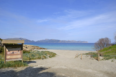 Ferienhaus Teresa in Alcúdia, Mallorca – Ansicht 4