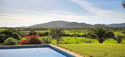Finca Alegria in Porto Cristo, Mallorca – Ansicht 5