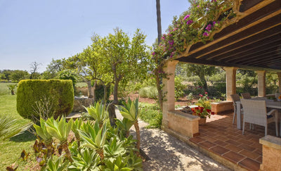 Finca Anita in Pollença, Mallorca – Ansicht 22