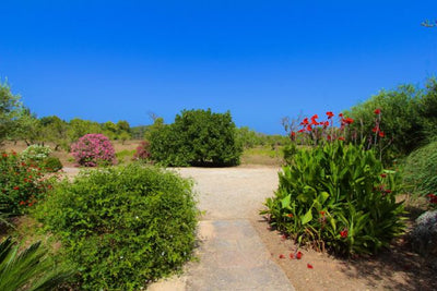 Finca Artari in Artà, Mallorca – Ansicht 9