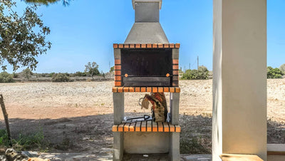 Finca Aurelio in Can Picafort, Mallorca – Ansicht 13
