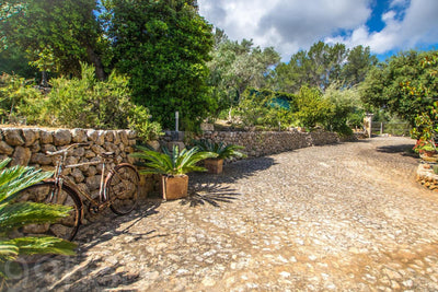 Finca Barrotot in Selva, Mallorca – Ansicht 20