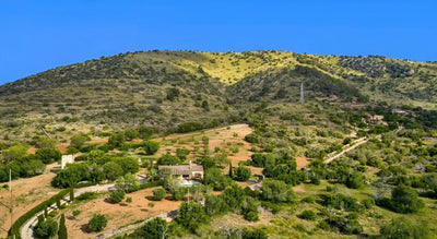 Finca Can Robi Nou in Sant Llorenç, Mallorca – Ansicht 15