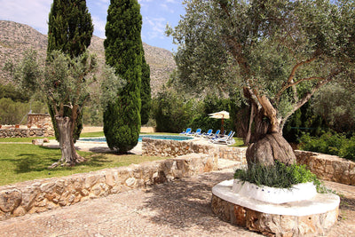 Pool der Finca Cas Coronet bei Cala Sant Vicenç, Mallorca