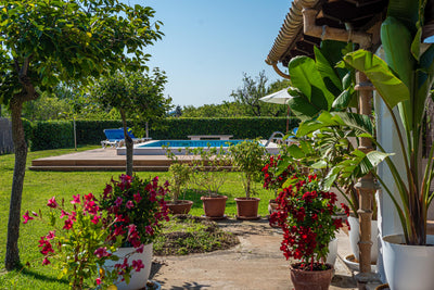 Pool der Finca Celestia bei Pollença, Mallorca