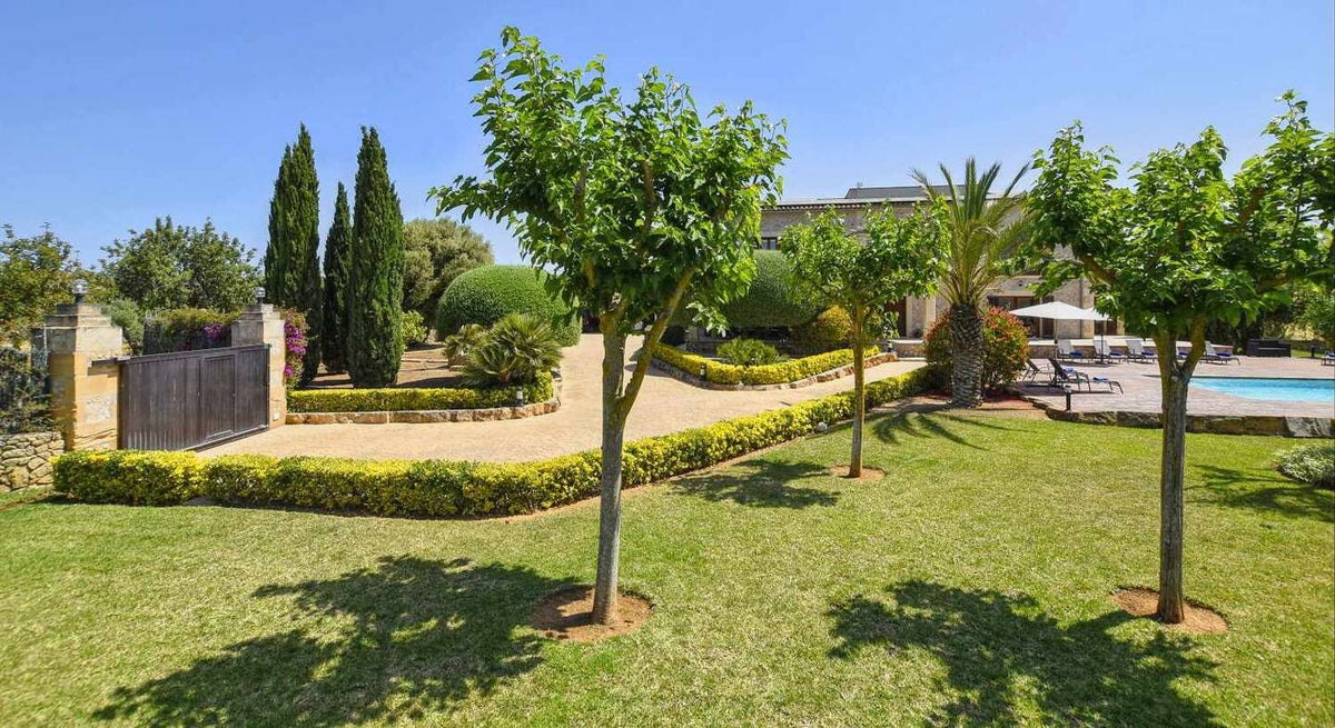 Finca Clasa in Alcúdia, Mallorca – Ansicht 22