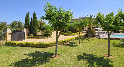 Finca Clasa in Alcúdia, Mallorca – Ansicht 22