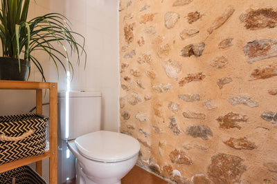Badezimmer der Finca Es Caparo bei Búger, Mallorca