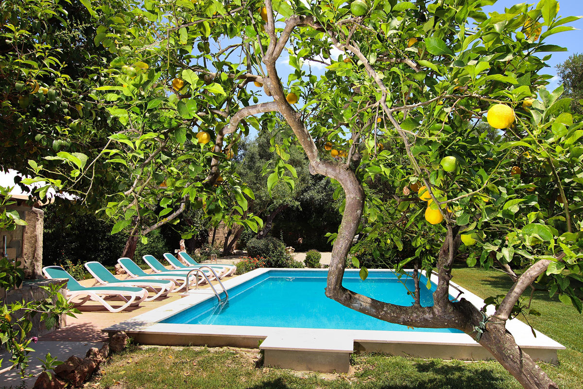 Pool der Finca Es Picot bei Pollença, Mallorca