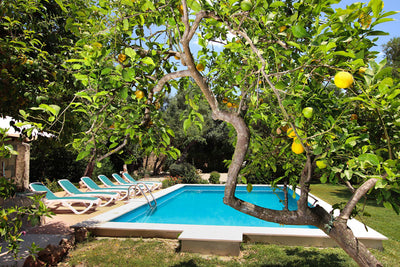 Pool der Finca Es Picot bei Pollença, Mallorca