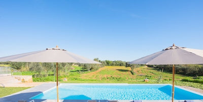 Finca La Esperanza in Felanitx, Mallorca – Ansicht 6